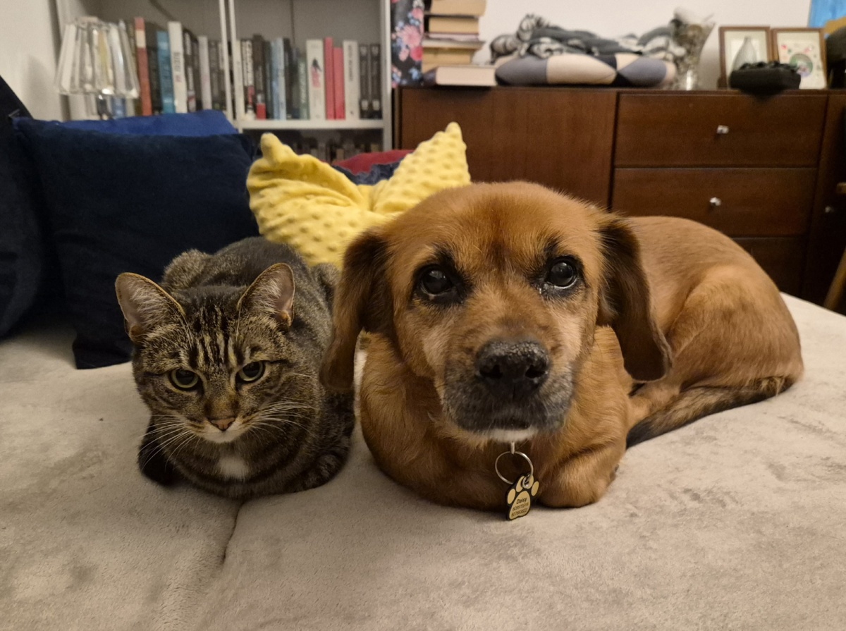 a1e86afa-4549-4972-a154-172363b1682b