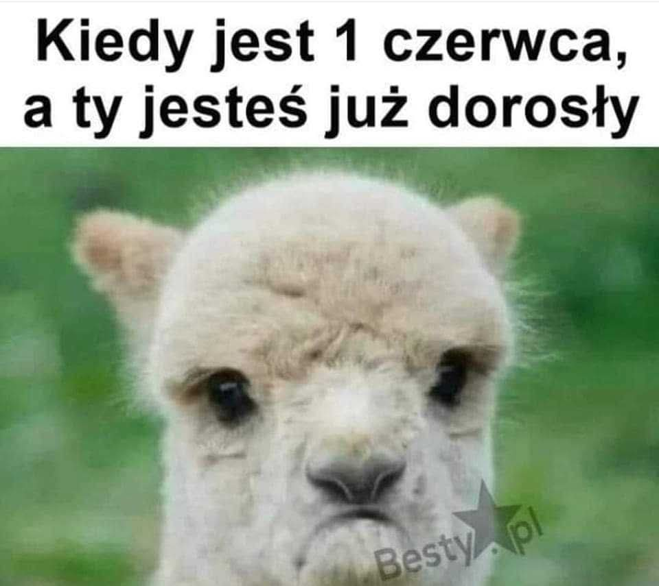 0c274ec9-425e-4842-9a6f-2a195d9d20fe