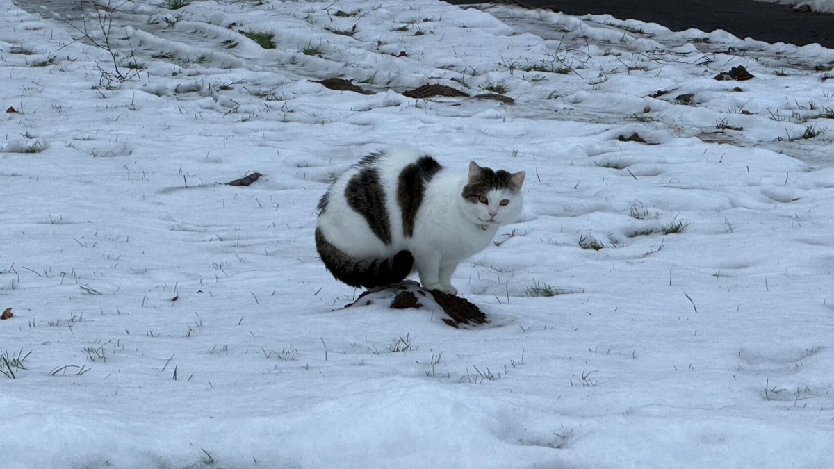 0eceb013-f550-427f-8954-098d22fcc12e