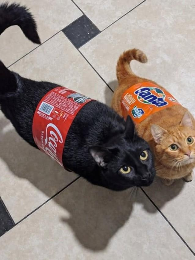 140fb5a5-57de-4336-b65b-27bcdbd3b39e