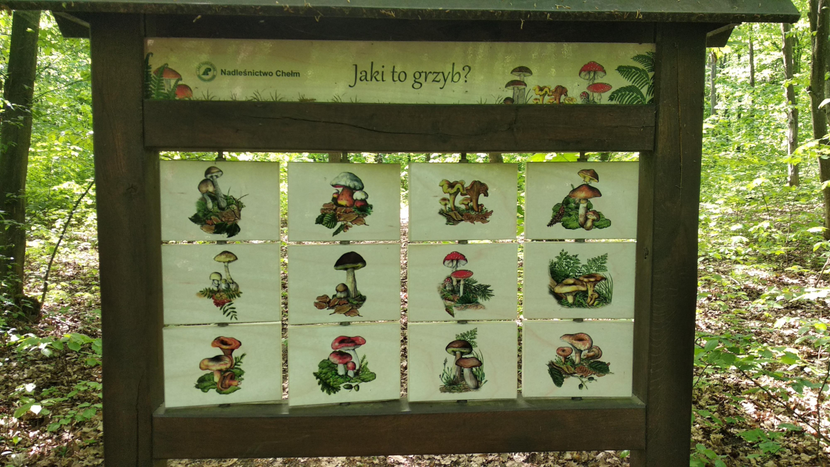 4348a24d-e256-4007-ba4b-78a839fda604