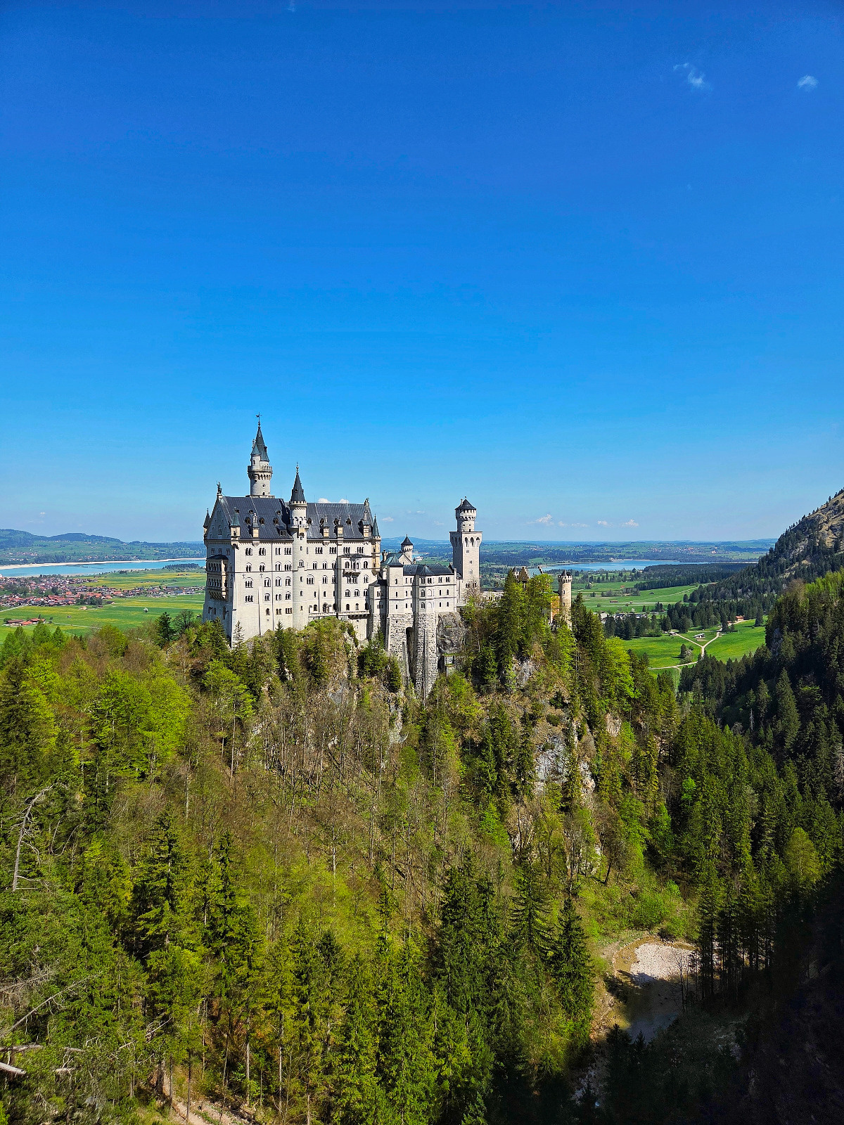 d8e3820a-8816-4e8f-8b77-059c4ddcc132