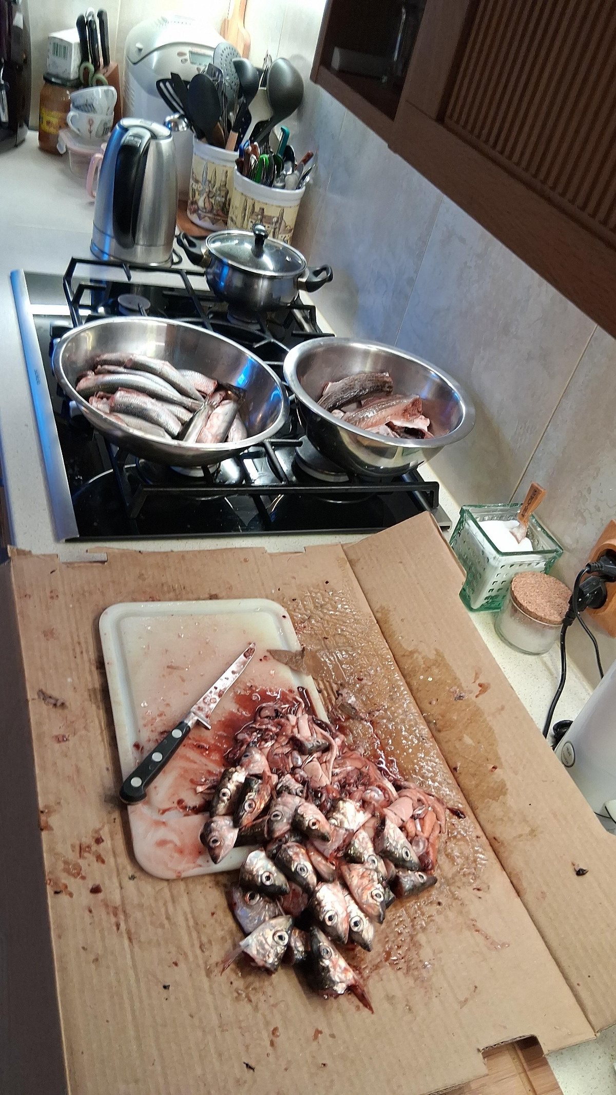 892068b7-a7b8-495a-905f-fcb19198a0ce