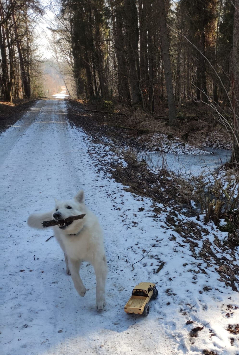 8d489db6-0e0d-43c3-8ce7-71015136f83a