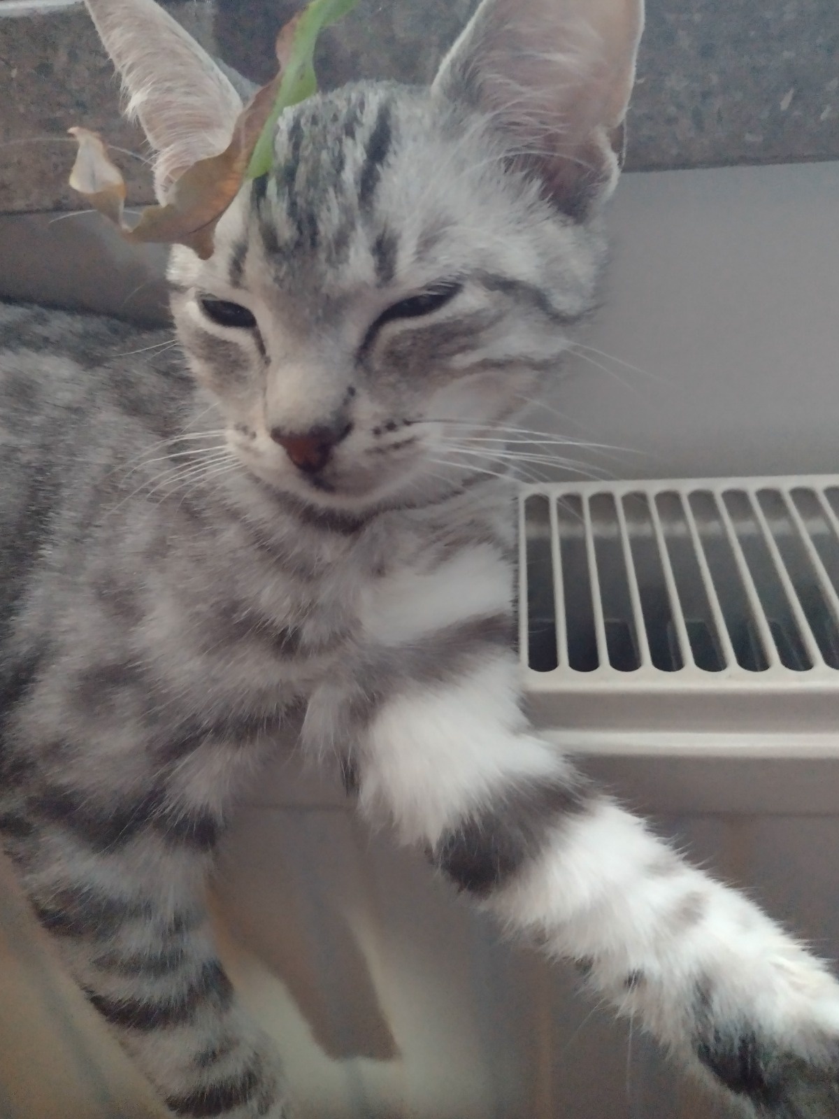 b071dde8-e0c1-4abc-ad68-49844f3656a2