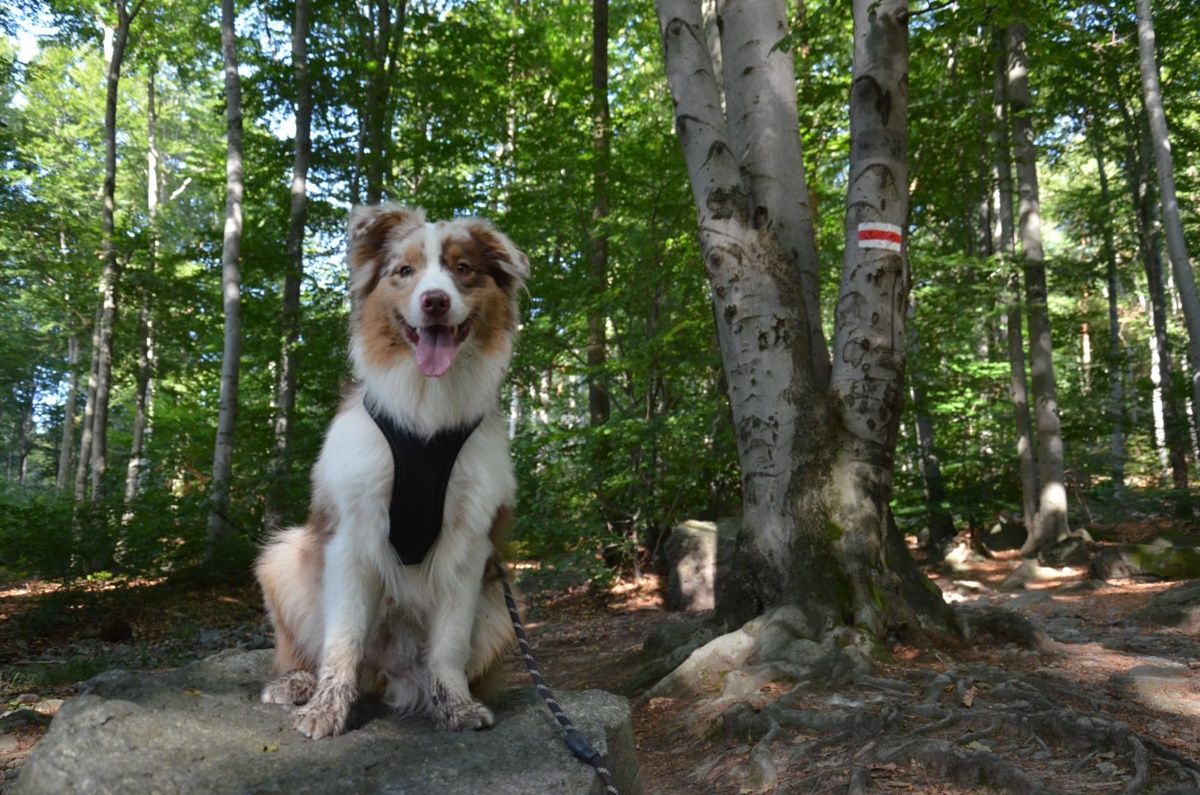 27a84d7c-4c08-4dc3-89fc-a690d6cbaeda