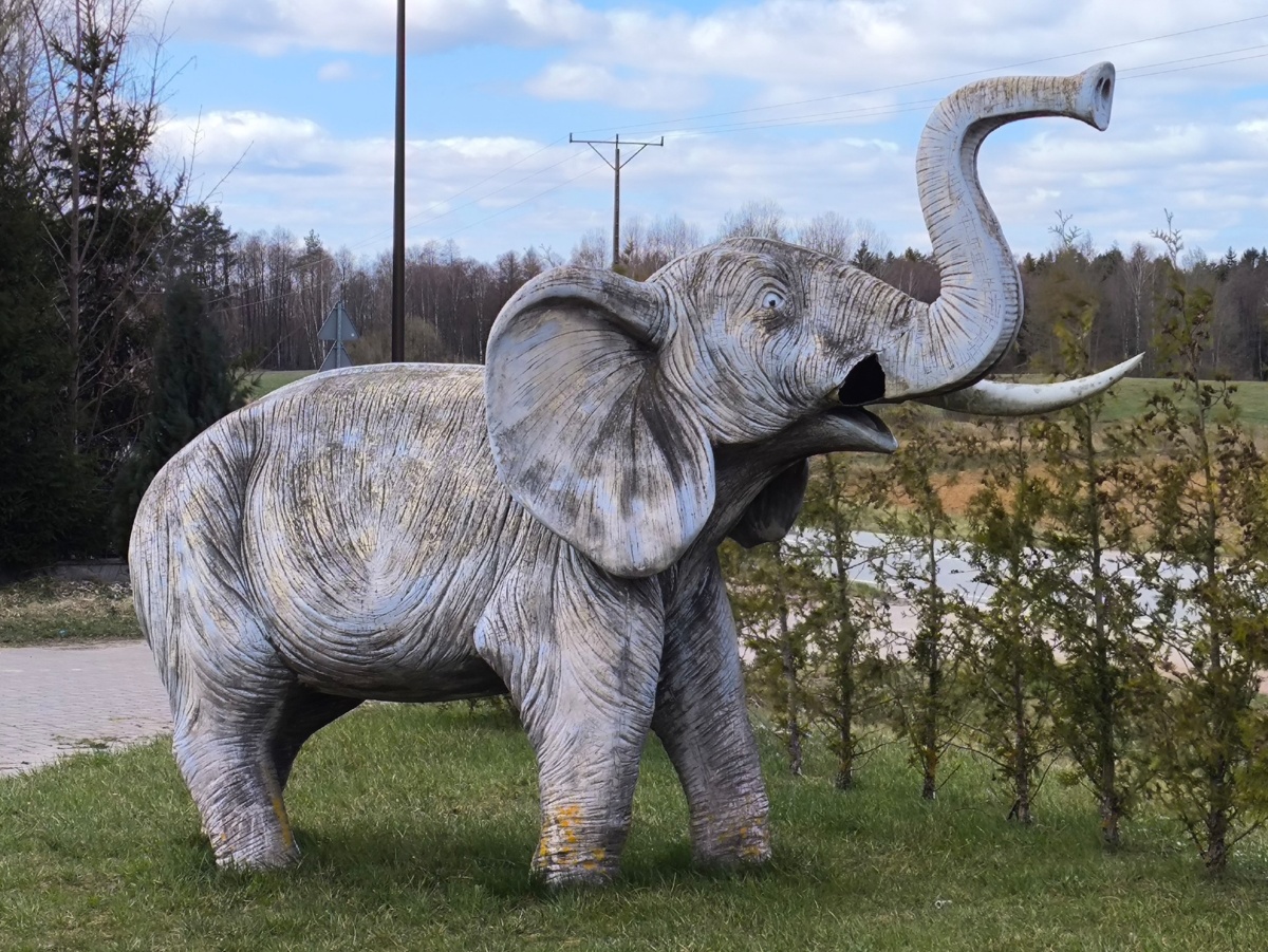 24985dcf-73d5-49f8-9718-8fa6d3db1b3d