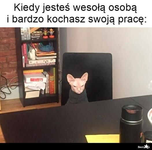 8f5e5898-69ed-4d4e-ab1a-c48c4d4464e7