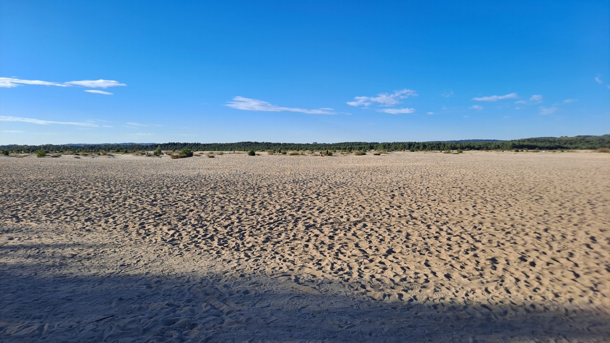 090d2430-845f-4593-a0a6-fec022c5defb