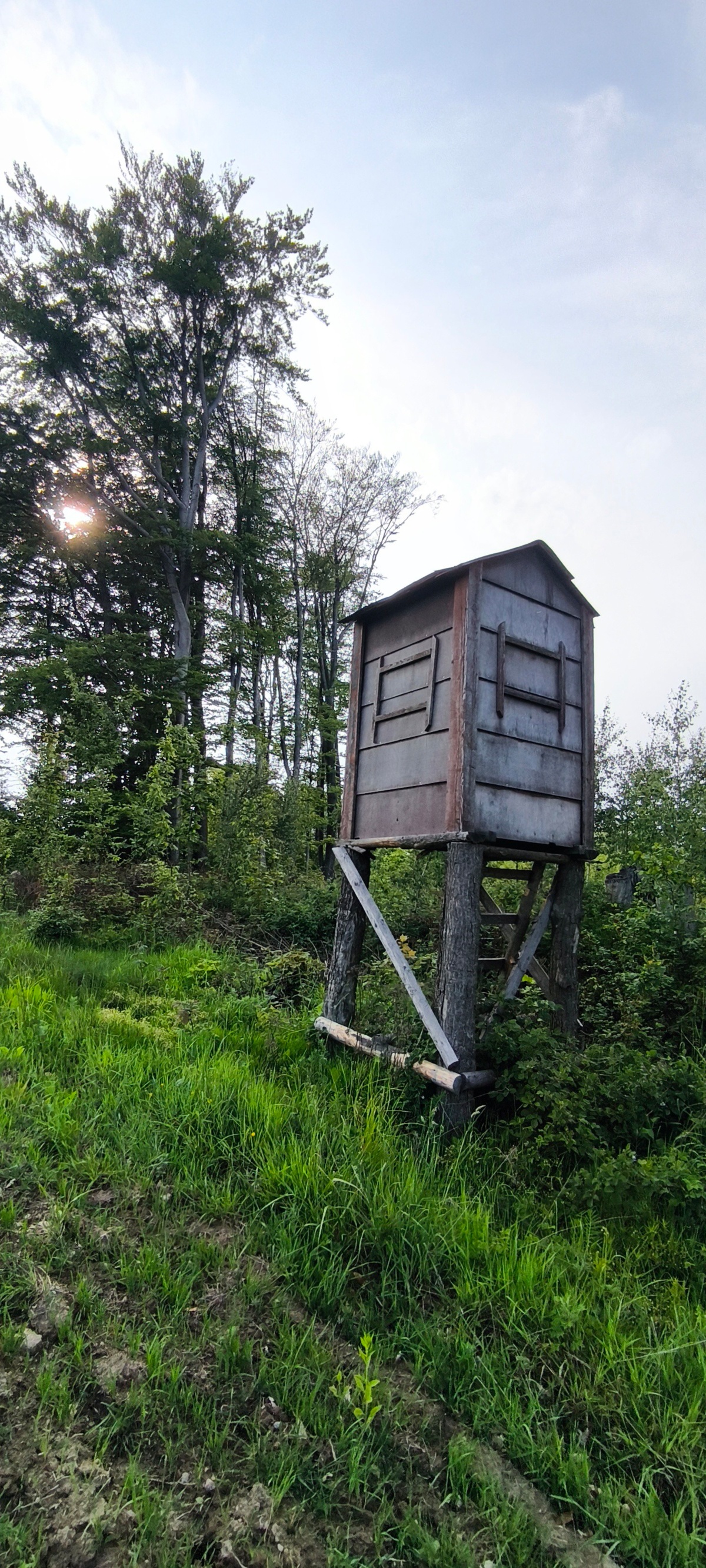 d8133490-2605-41f5-8406-888cffe3f3bd