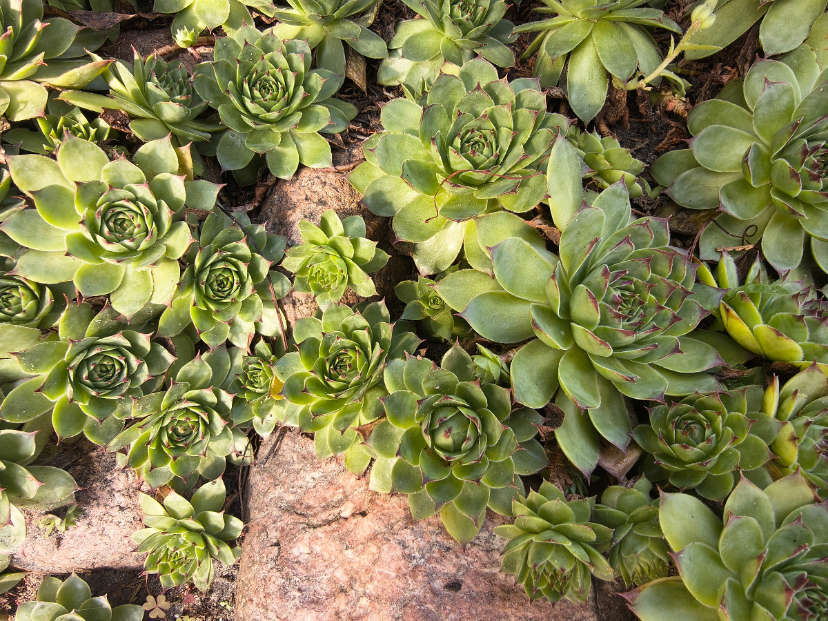 8d447d6d-04d6-4d12-9d0c-389e81c6dd88