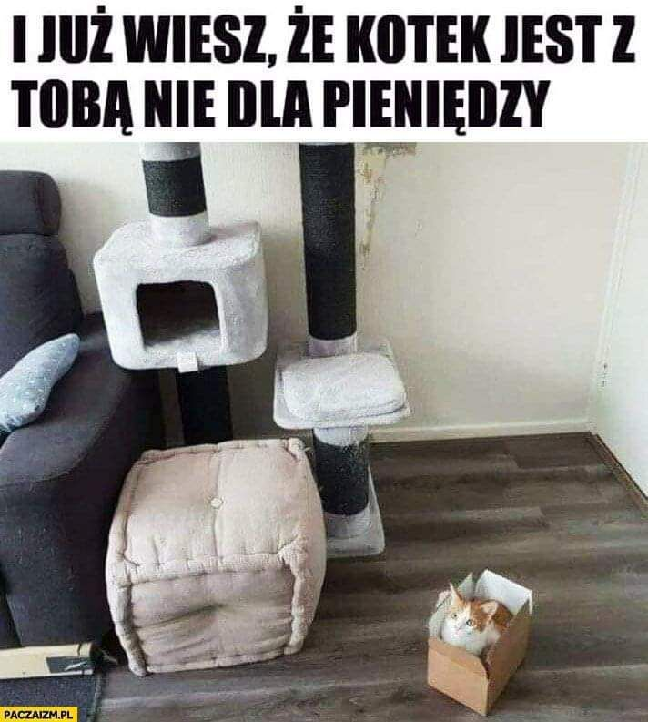 641832ac-88f9-4077-87b1-c1e4a2675db3