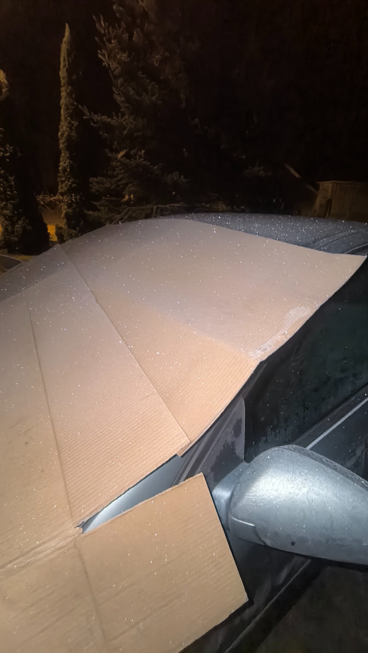 0006c5be-b585-410a-af69-d3dfd5b354c0