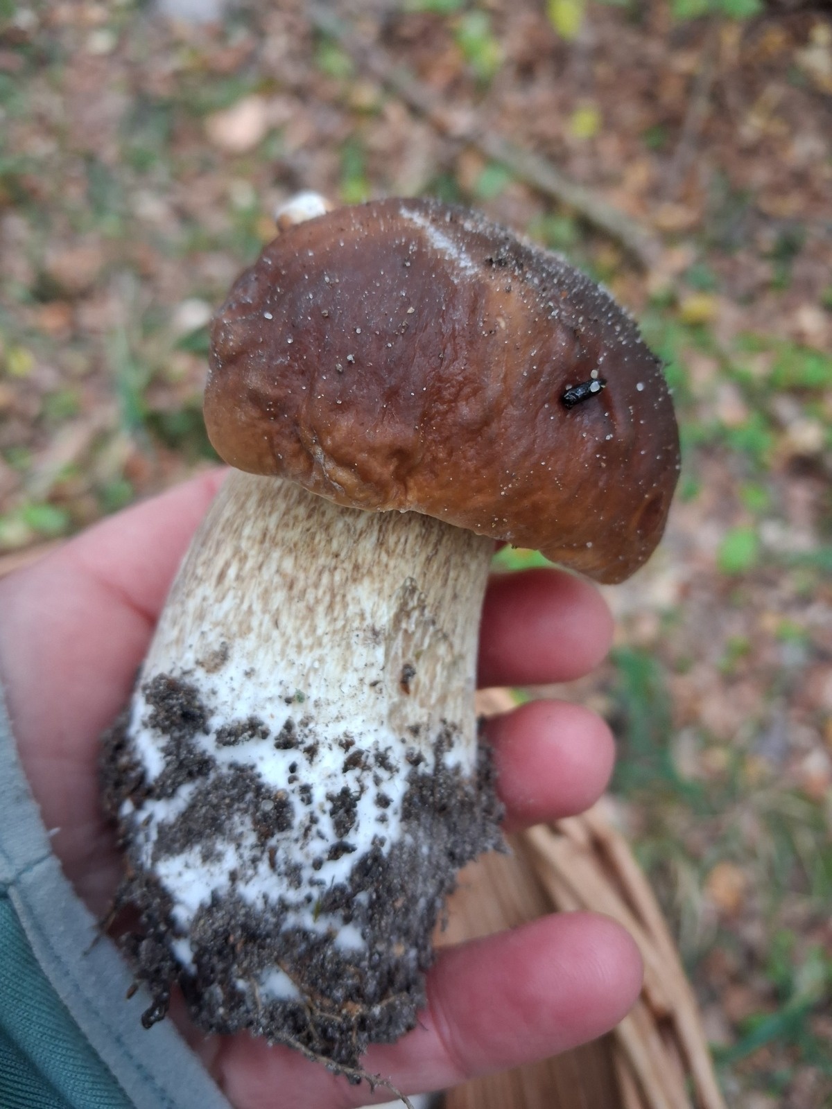 0577878a-b45f-4e2f-b648-4ed8b4dc7b84