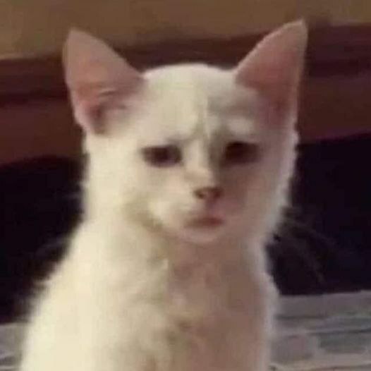 73dcebe9-e479-400e-881b-c2a6125c5a95