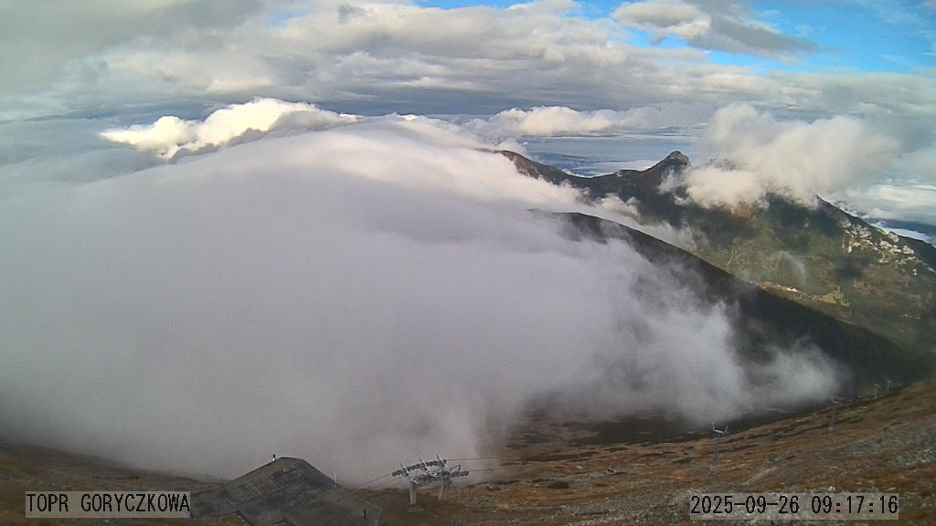 79303a6f-b146-4e51-aa82-e872670c8459