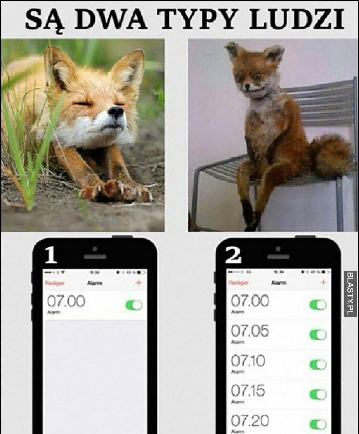 329f78a1-194c-4f7e-aa57-a2c387915e5d