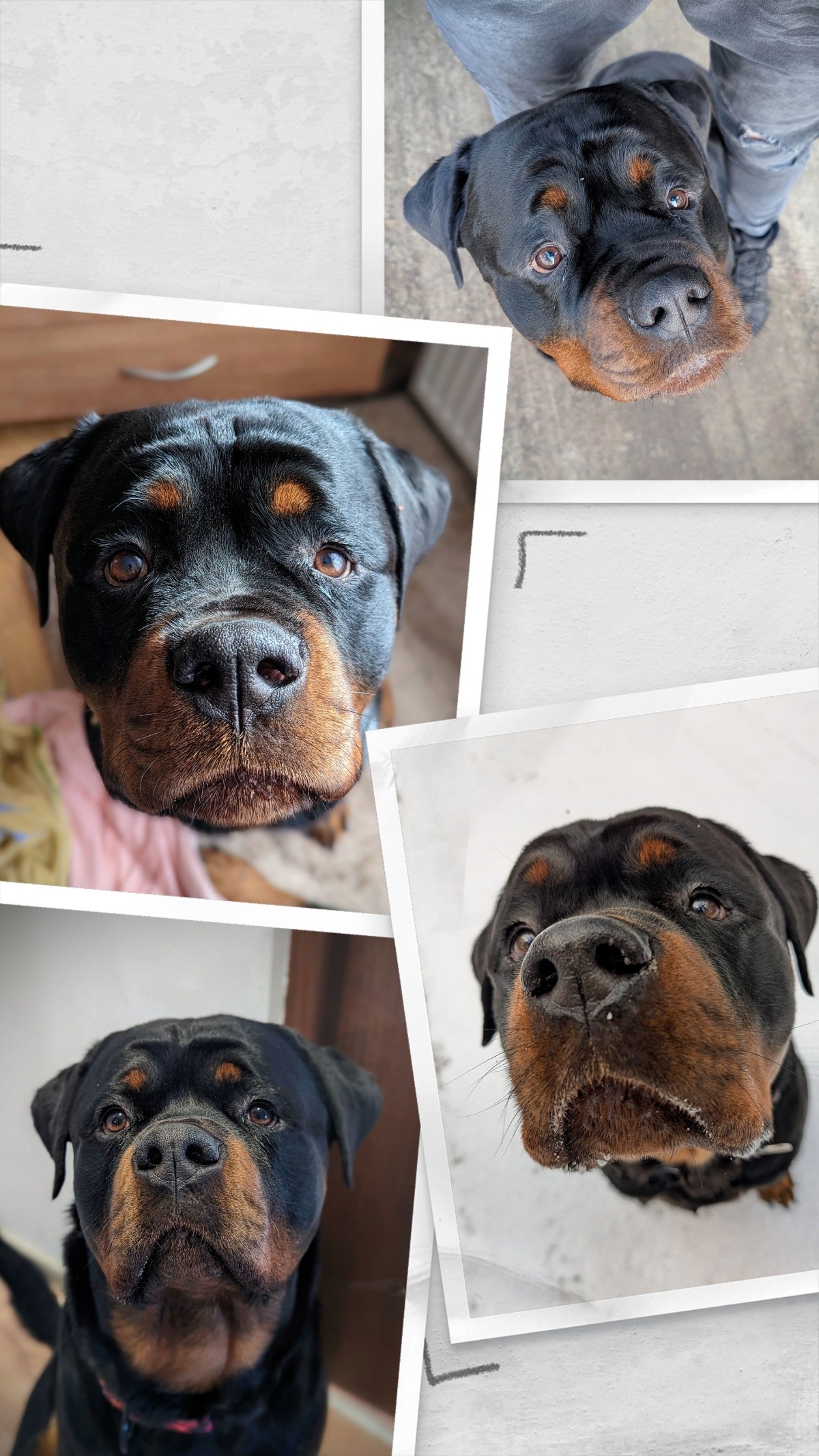 c38a77ae-bfa2-4a9b-b5ae-4d9fede19fc2