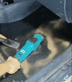 afa2bbc1-5be2-4e59-bea9-eb69f0dcb47b