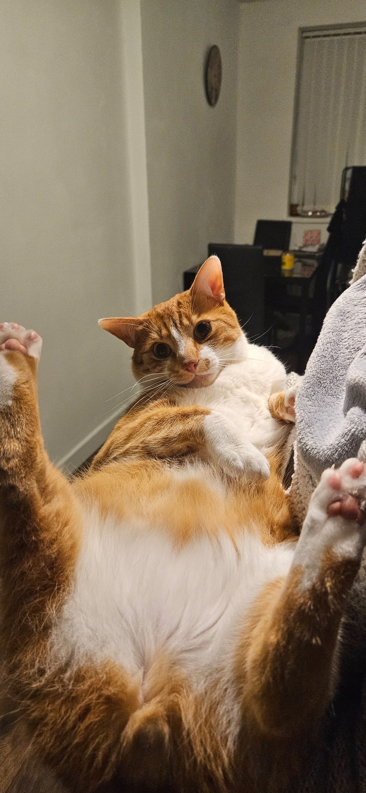 688a1200-67cf-4626-8267-1dee2653f676