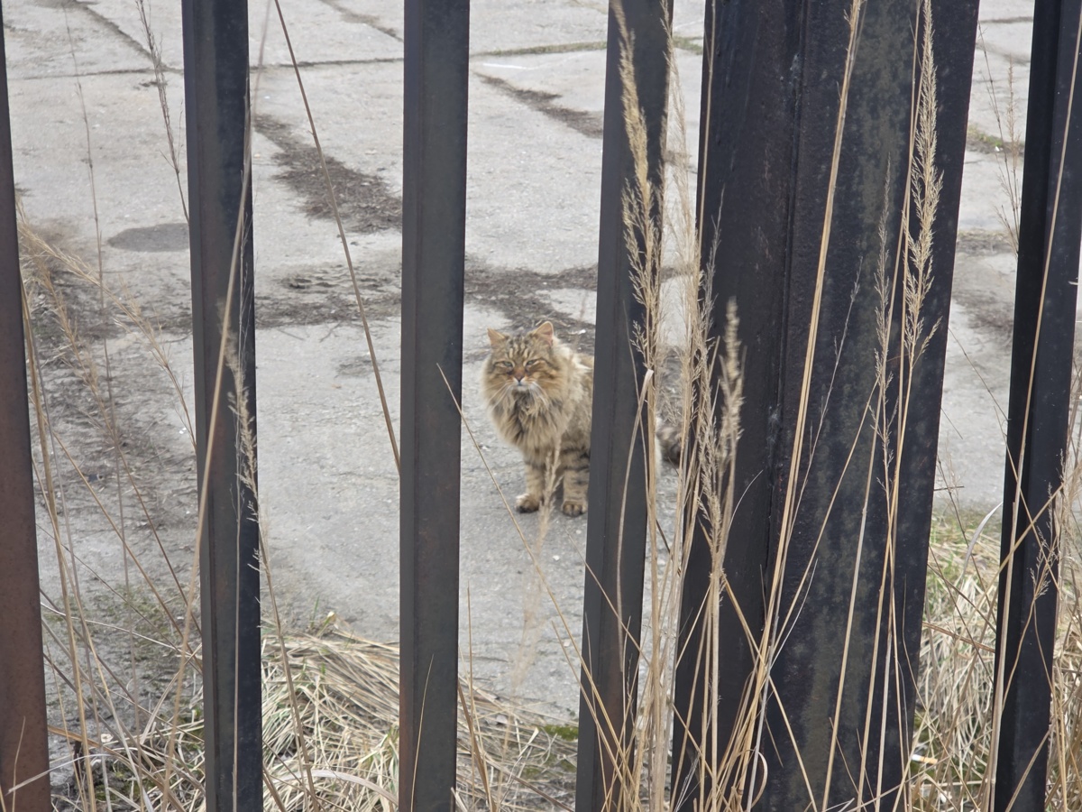 cdf1edc5-0bb1-477c-96a8-3e909a4d6120