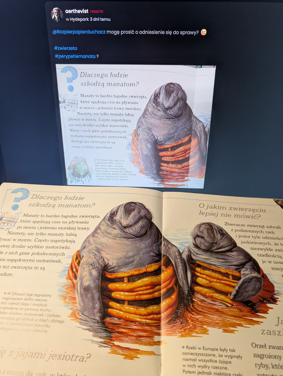 ba4a4a0e-ab69-4bbc-a875-abb784cb2cb7