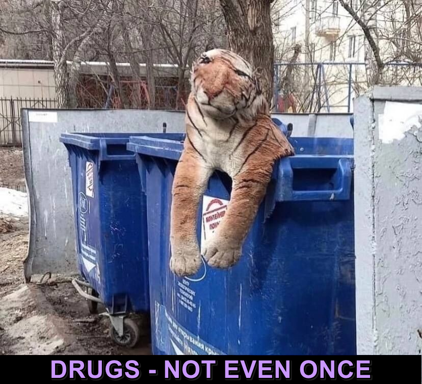 7a419be7-9c06-4cb3-b5ac-42323c185282