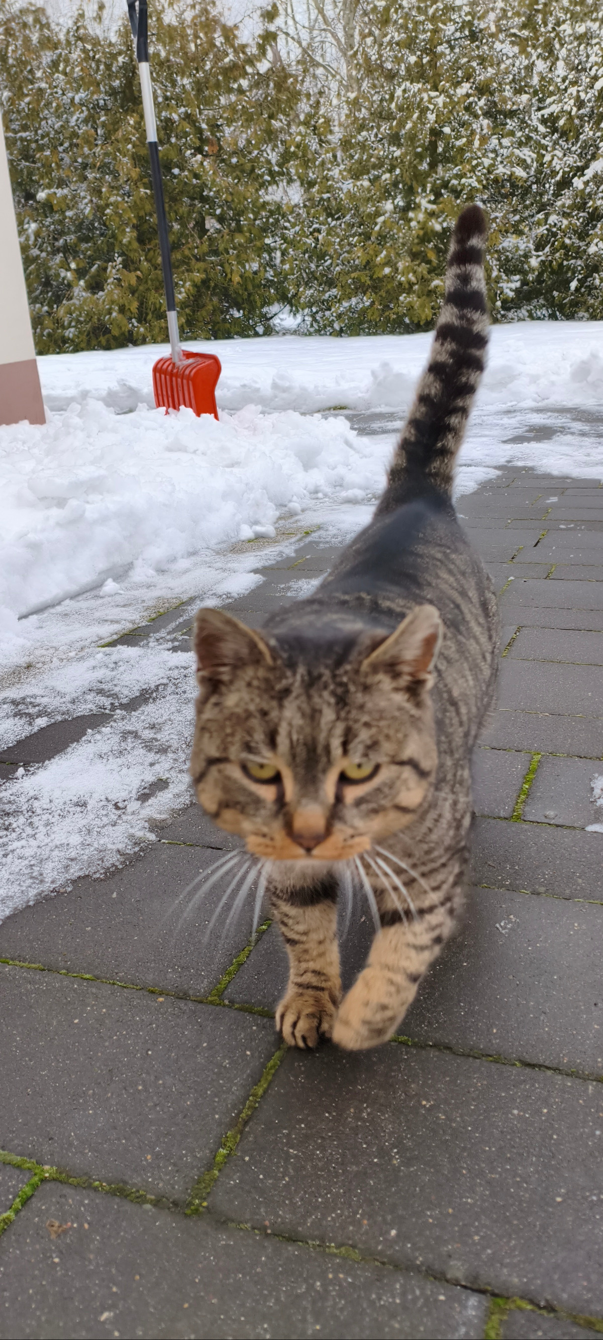 4d9ca564-62ee-4a63-b777-fdac6de4384f