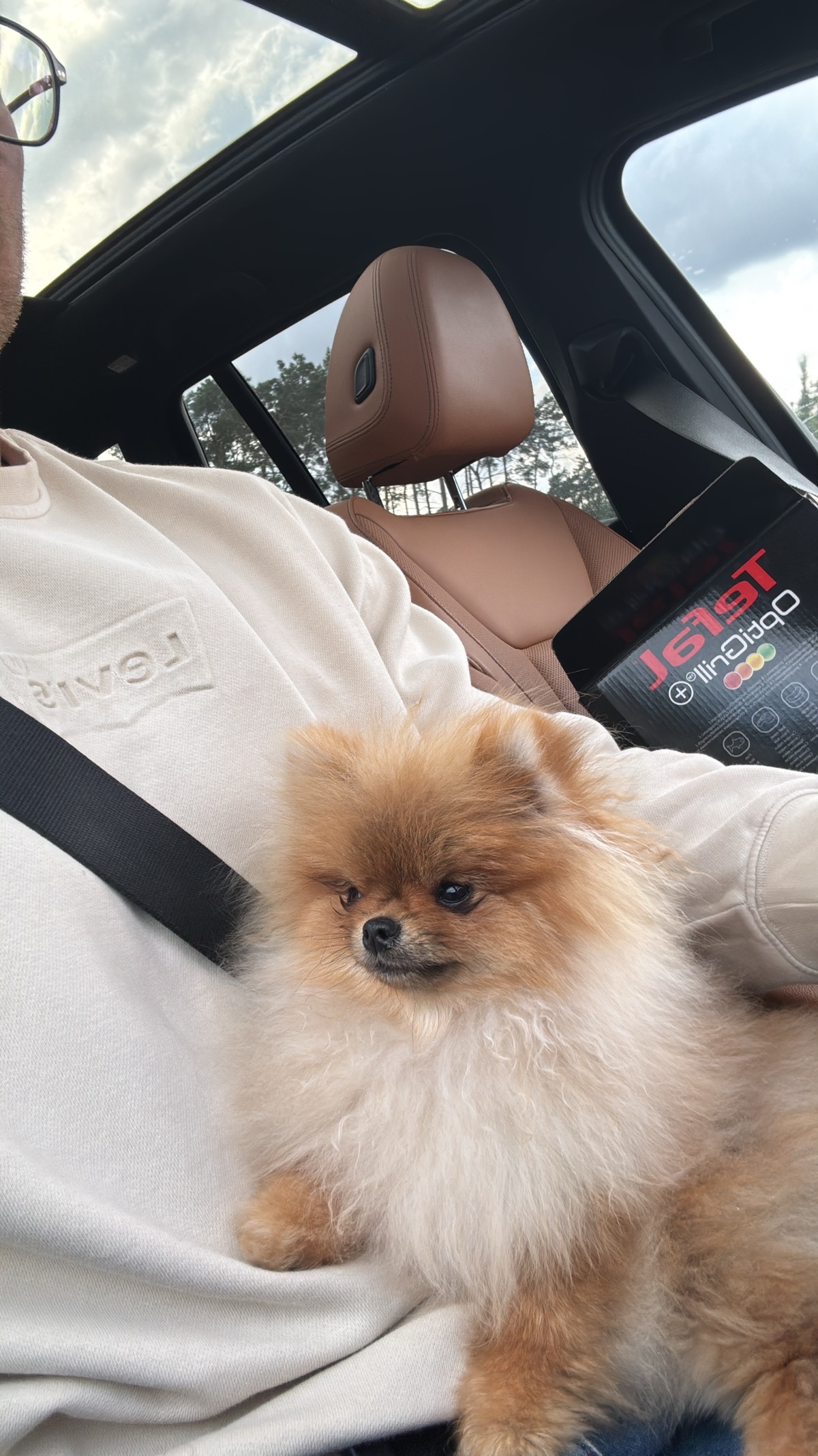 f3d26366-ace0-4c13-ad81-6f093e45d596