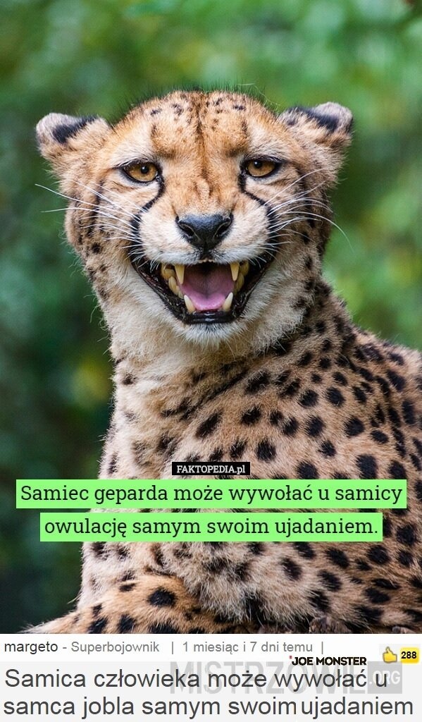 92725ee0-ad41-4d34-9bab-6f928bed1eb8