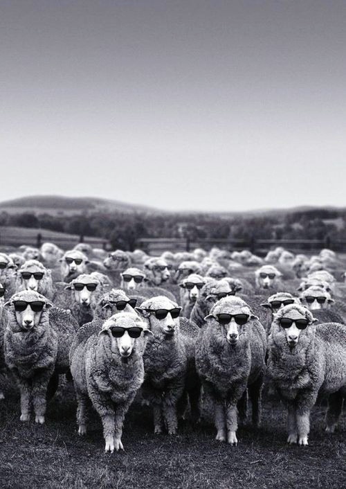 e2cfe5a4-5574-40a0-ac82-399485f7a06d