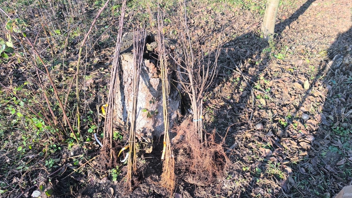 1d7717f7-c613-4b07-a441-276c62a06667