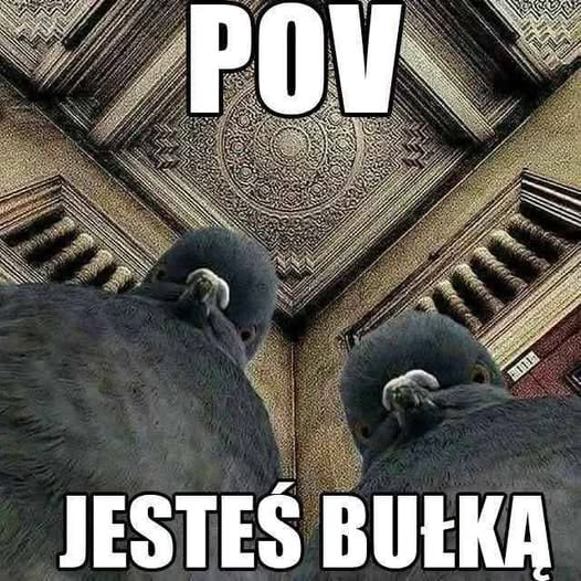 a48e60b5-b28c-4a73-aee7-425efa5f06a7