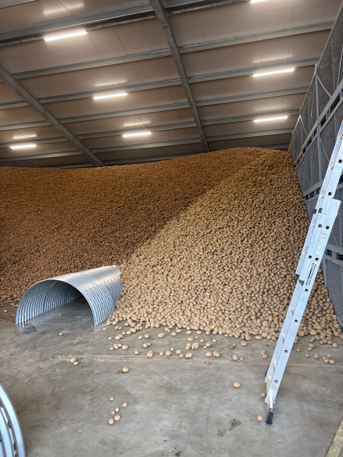 62f002cf-64e1-4f3a-ba03-4972967e0b43