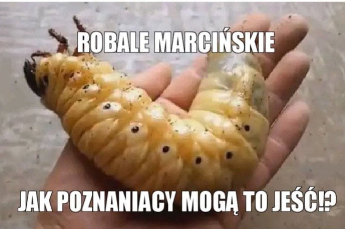 35d91d7e-44fd-41c6-ad9a-b78d815a4ba8