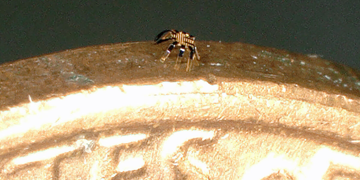 Najmniejszy na świecie zdalnie sterowany robot kroczący