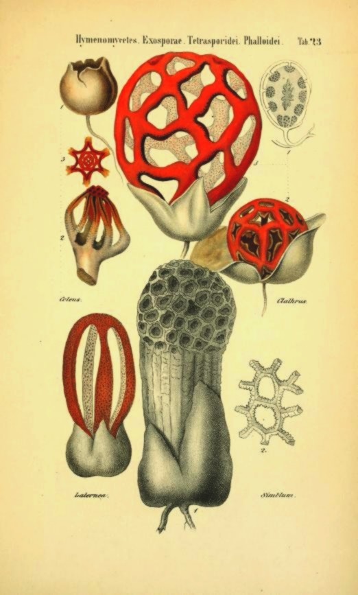 57b27bb0-e801-4b8c-80af-ea35f595f94c