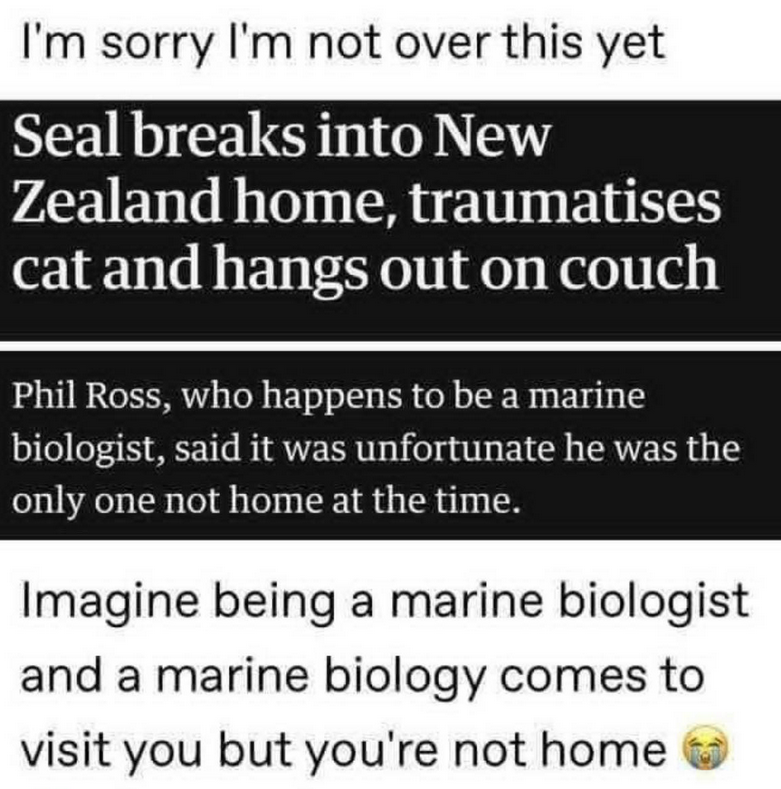 5307a725-959b-40f9-9d1a-f52dd2acb7fd