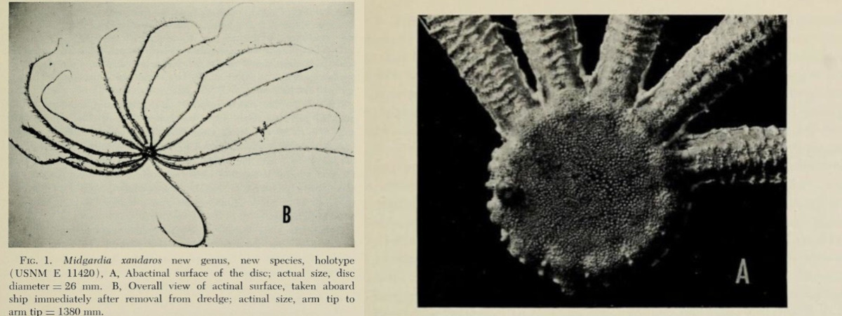 72767758-a39a-4daa-9dc9-8d9bb79b5340