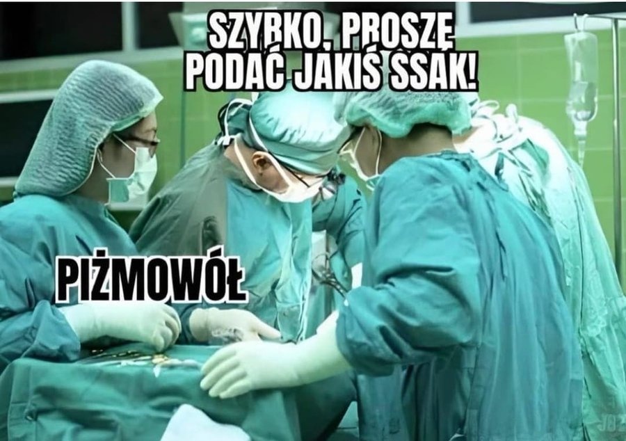 c8b9b6e8-c309-4612-abe5-041ffbe664fe