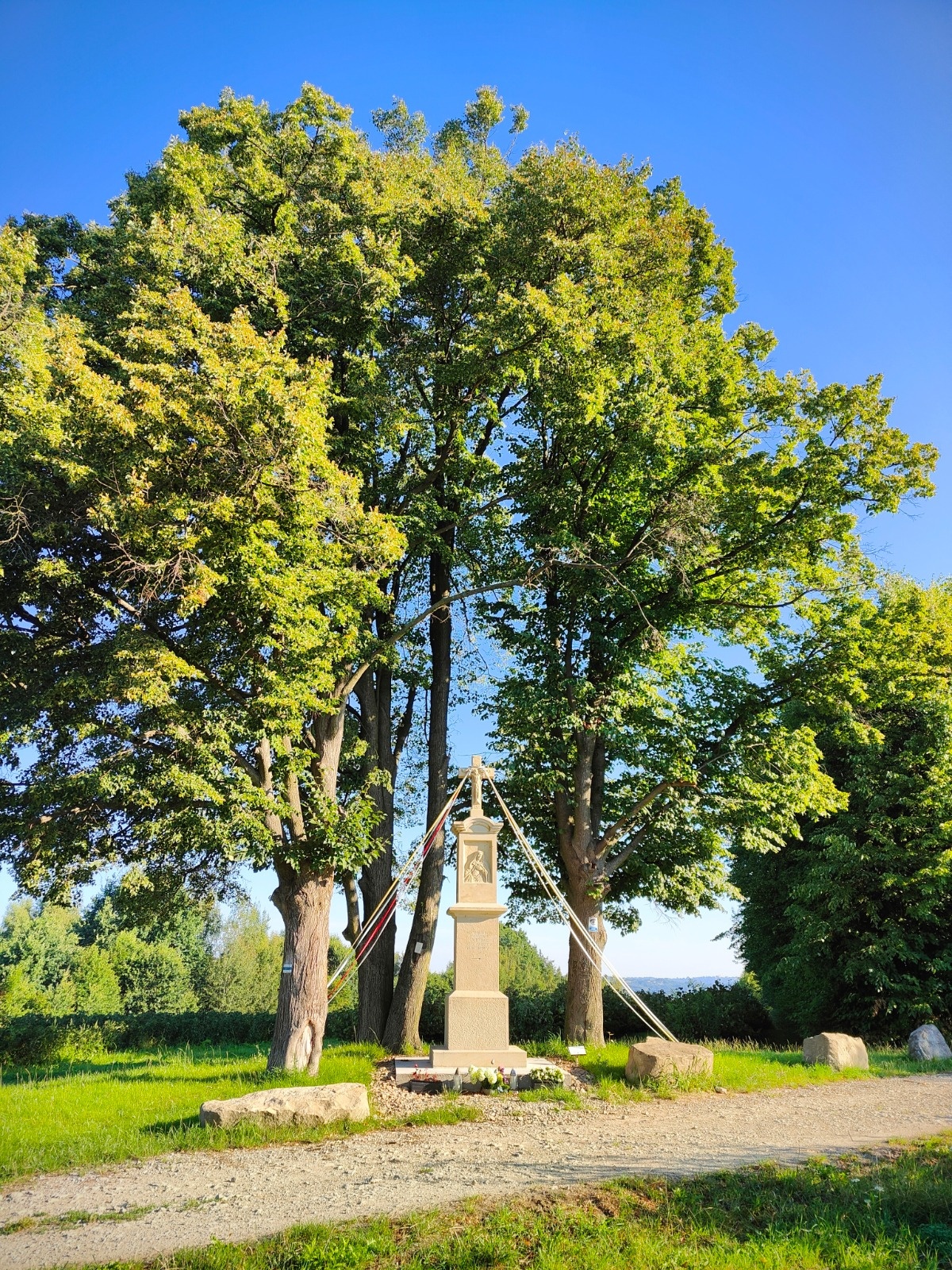 a5fa7755-cbdc-485b-941f-818655557d0d