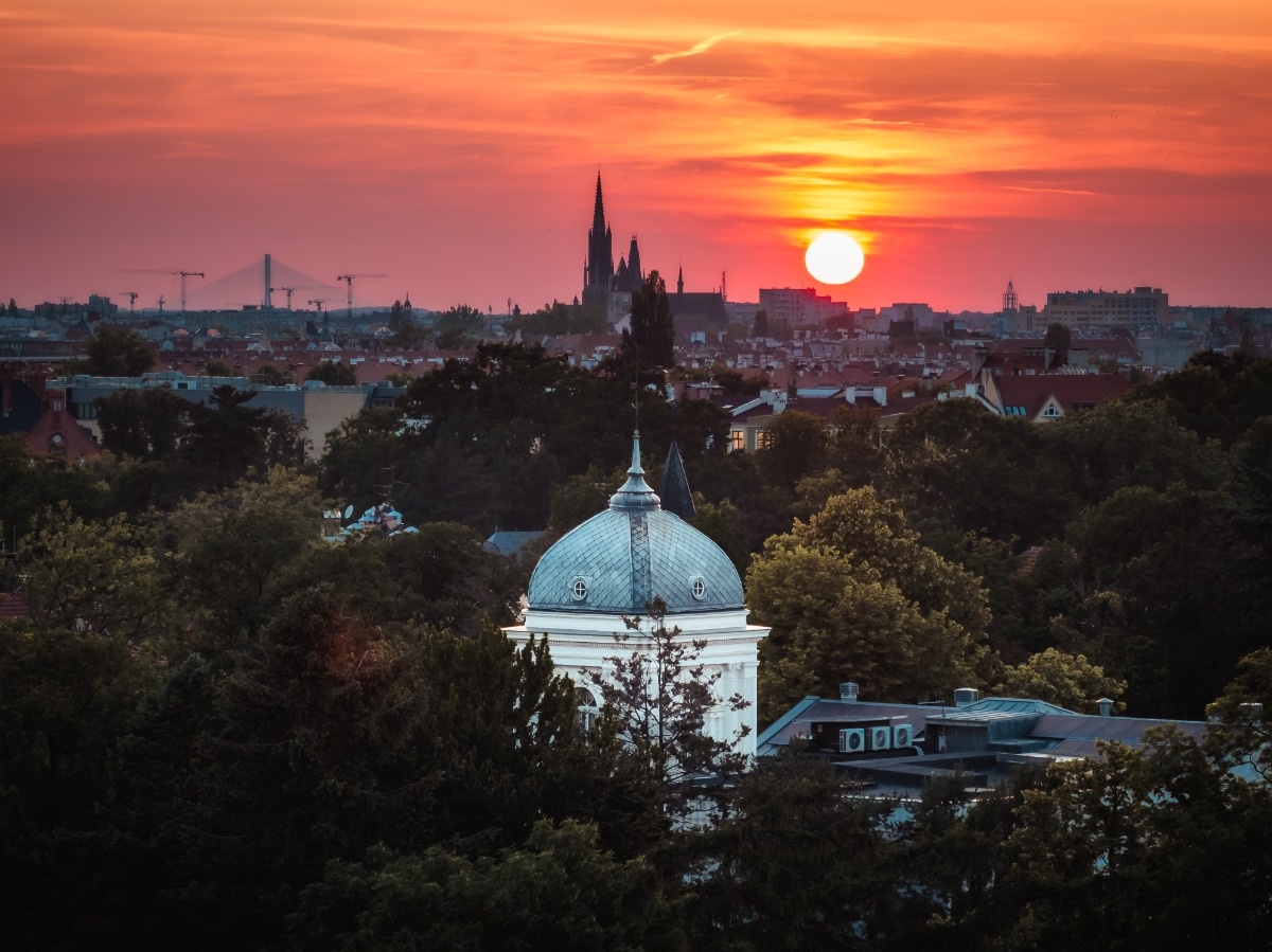 77e0c37e-9347-48ae-9784-c1edde208a22