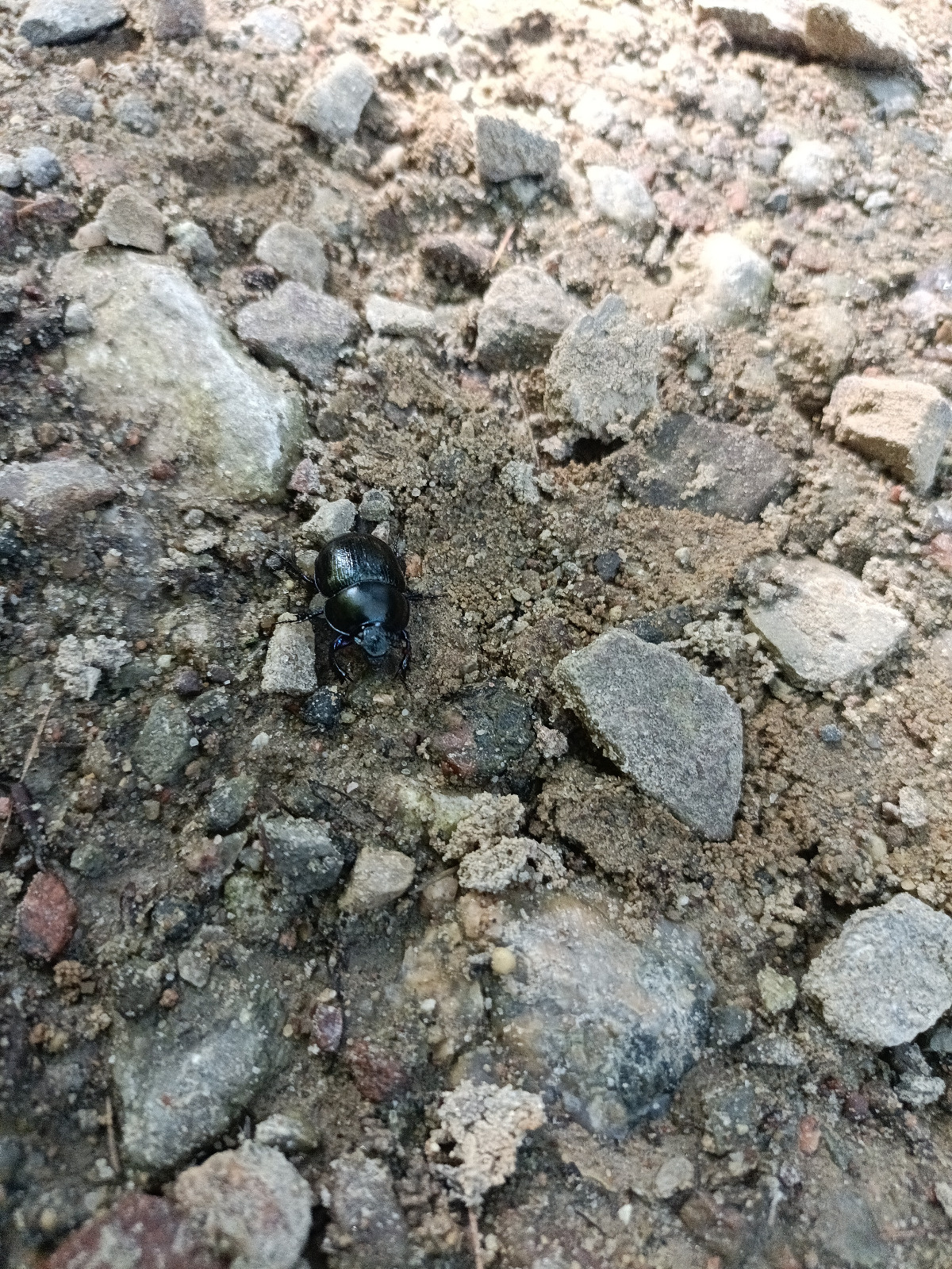 0d5e6f33-4259-4394-ac64-bc7aae6ca3d8