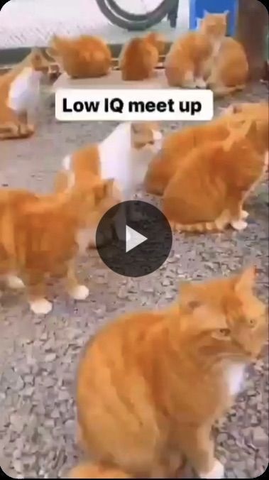 e55d4f8e-9767-438d-9fac-2bad49b2cd25