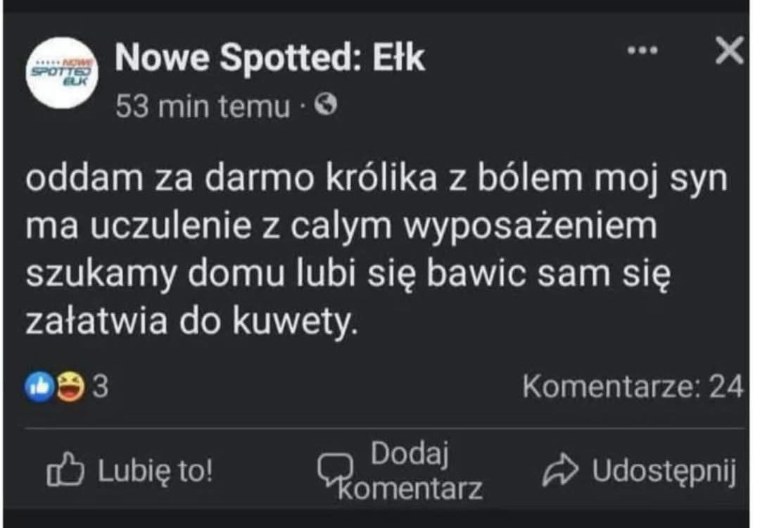 f17003ac-ae00-42b9-a11f-dd79e63826d2