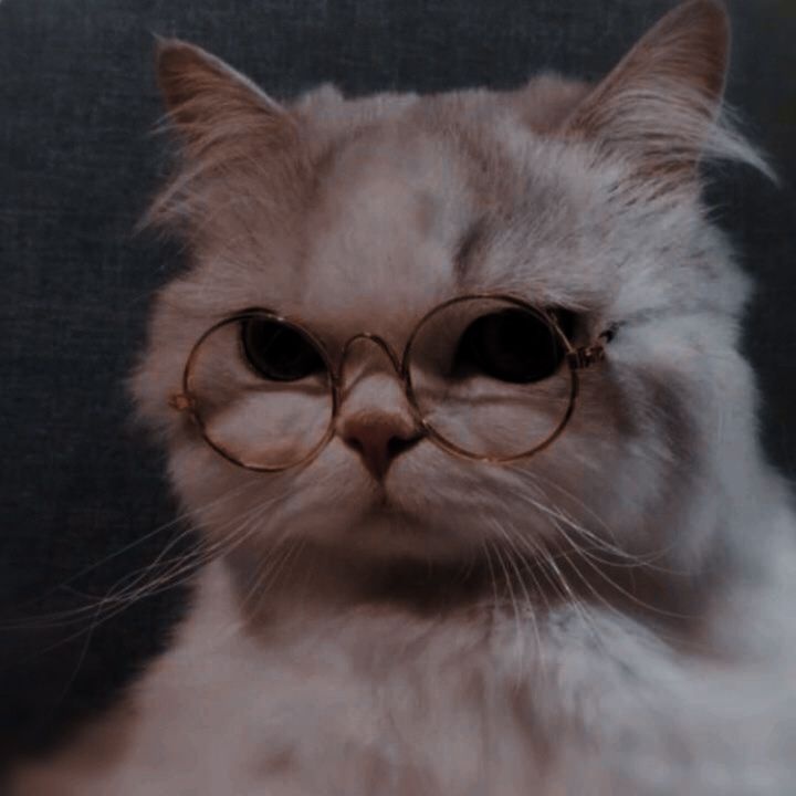 43d48269-5938-4f00-86f3-d36893213d87