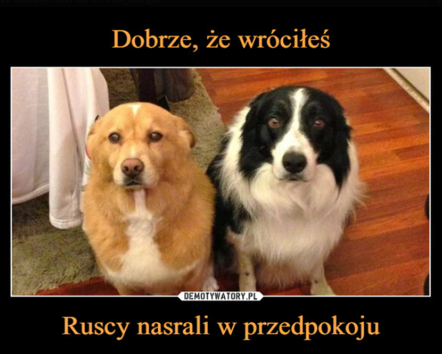 2c483a7c-a110-449d-82ad-04aaed692a9b