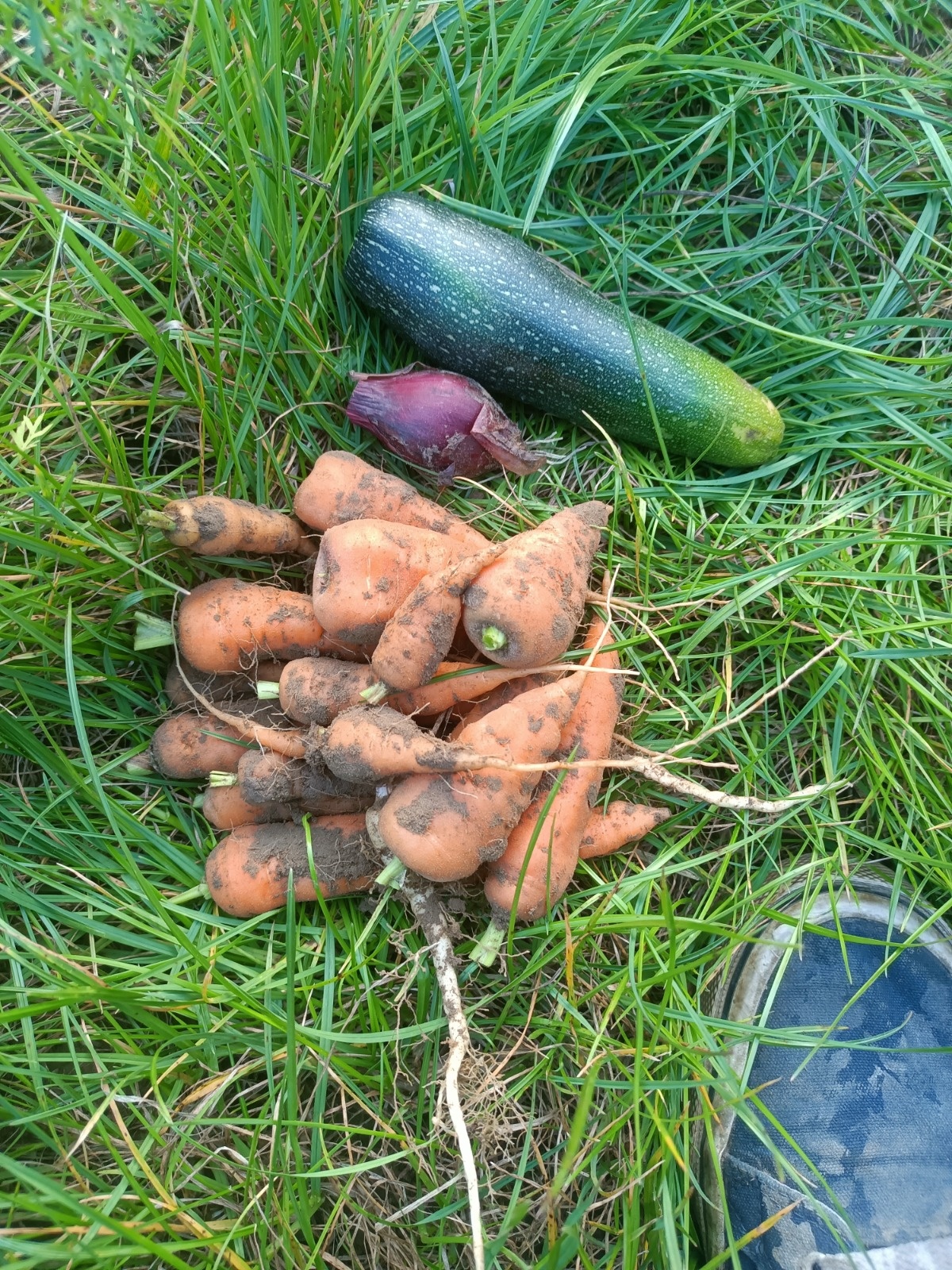 723adb51-efe6-455f-887f-8984a921a694