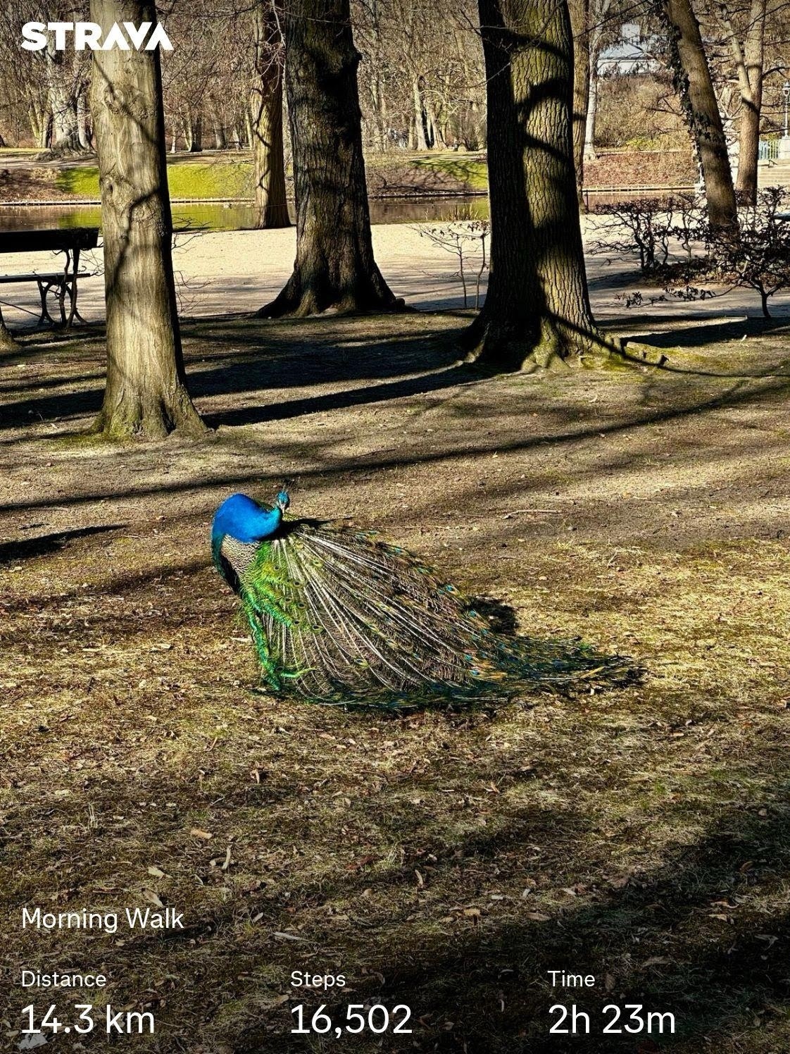 4afcc371-f59c-458e-9079-df63ce1f29a0