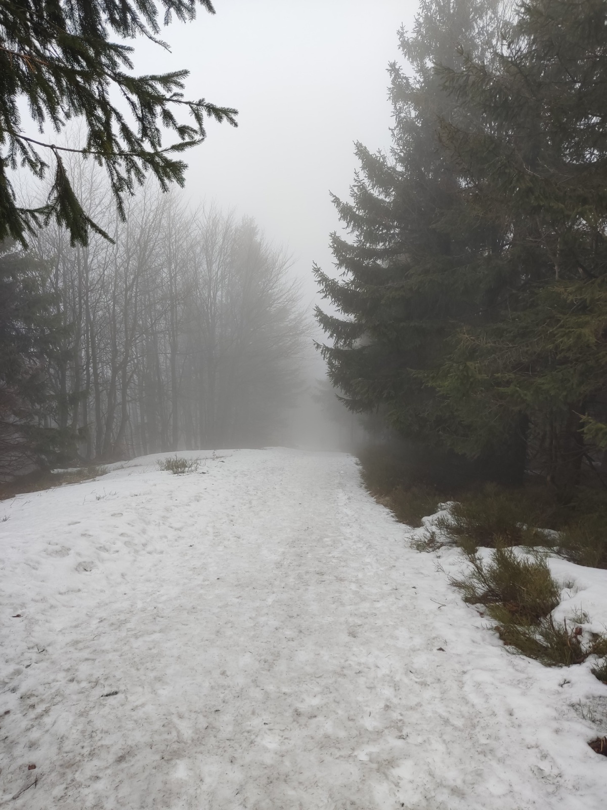 ac13f149-9a2d-4432-bee8-6a299ee16df0